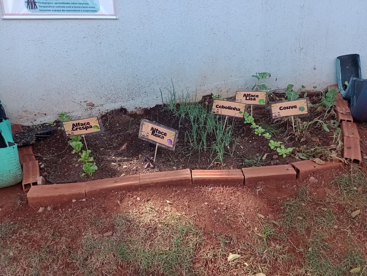 Horta Sensorial